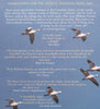 The Snow Geese | William Fiennes