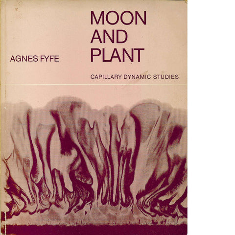 Moon and Plant | Agnes Fyfe