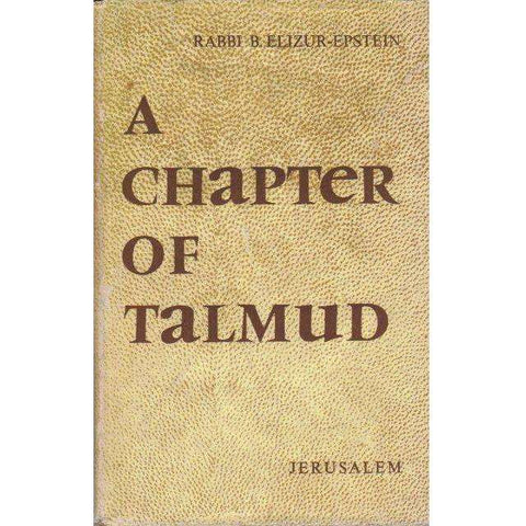 A Chapter of Talmud, Bava Mezia, IX - Perek Hamekabel | Rabbi B. Elizur-Epstein