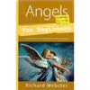 Bookdealers:Angels for Beinners: Understand & Connect with Divine Guides & Guardians | Richard Webster
