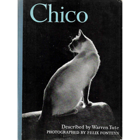 Chico | Warren Tute & Felix Fonteyn