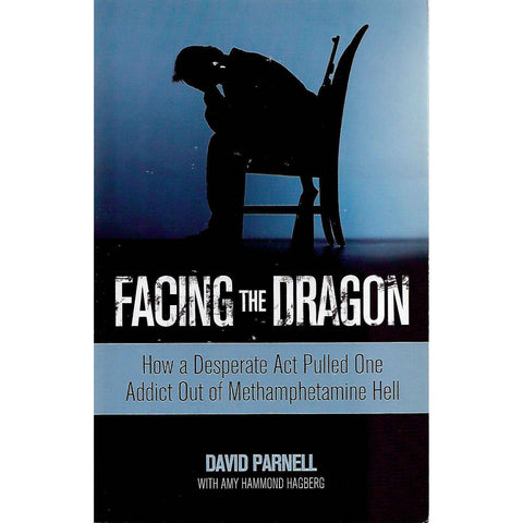 Facing the Dragon: How a Desperate Act Pulled One Addict Out of Methamphetamine Hell | David Parnell and Amy Hammond Hagberg