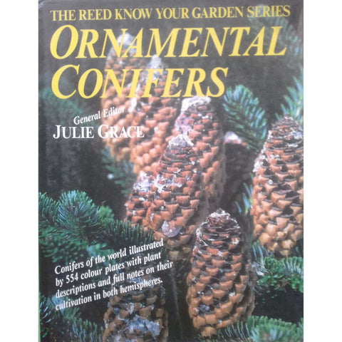 Ornamental Conifers | Julie Grace
