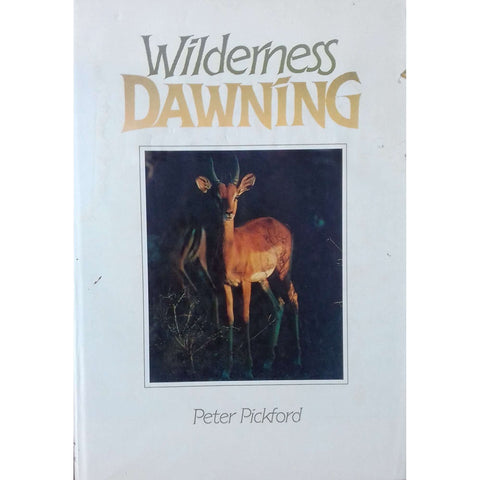 Wilderness Drawing | Peter Pickford