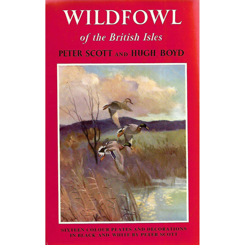 Wildfowl of the British Isles (Signed by Peter Scott) | Peter Scott & Hugh Boyd
