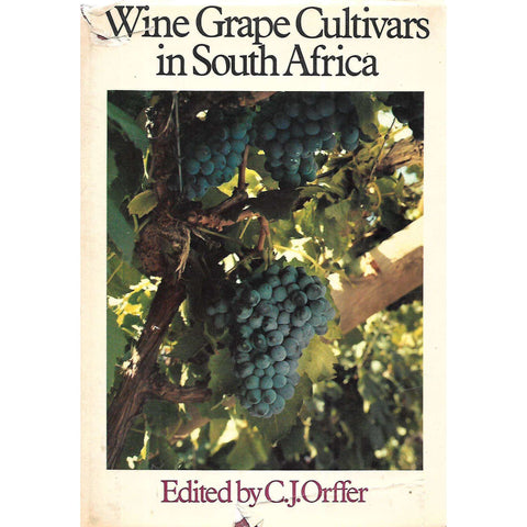 Wine Grape Cultivars in South Africa (Signed by Editor) | C. J. Orffer