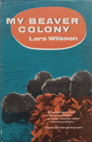 My Beaver Colony | Lars Wilsson