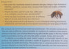 Bee Products for Better Health | C. Leigh Broadhurst