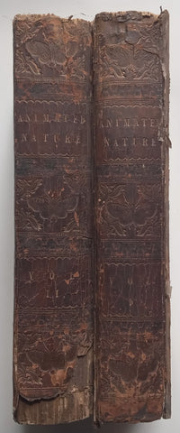 A History of the Earth and Animated Nature (Published c. 1840, 2 Vols.) | Oliver Goldsmith