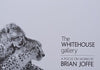 The Whitehouse Gallery: A Focus on Works by Brian Joffe (Invitation to the Exhibition)