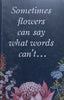 The Lost Flowers of Alice Hart (Proof Copy) | Holly Ringland