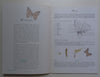 Planting for Butterflies (Possibly Signed by Author) | Lieveke Noyons