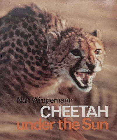 Cheetah Under the Sun | Nan Wrogemann
