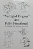 “Vestigial Organs” are Fully Functional | Jerry Bergman & George Howe