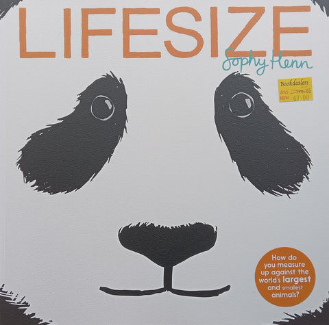 Lifesize | Sophy Henn