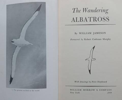 The Wandering Albatross | William Jameson