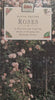 Roses: A Practical and Inspiring Guide to Growing this Beautiful Flower | David Squire