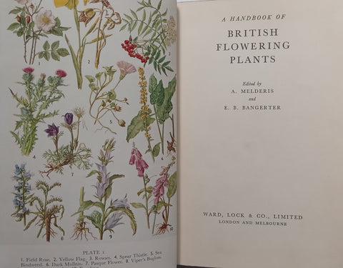 A Handbook of British Flowering Plants (Special Binding) | A Melderis &amp; E. B. Bangerter (Eds.)