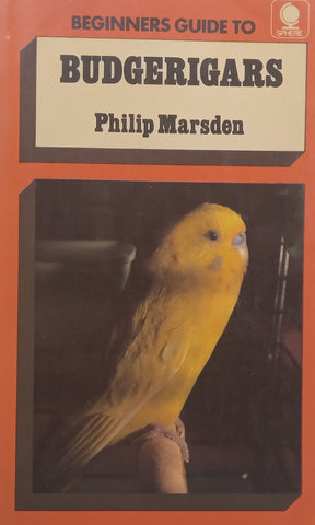 Beginner’s Guide to Budgerigars | Philip Marsden