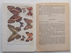 Some South African Butterflies | Gowan C. Clark &amp; C. G. C. Dickson