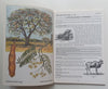 The Shell Field Guide to the Common Trees of the Okavango Delta and Moremi Game Reserve