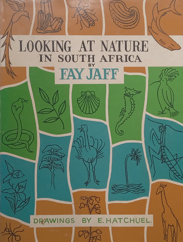 Looking at Nature in South Africa | Fay Jaff