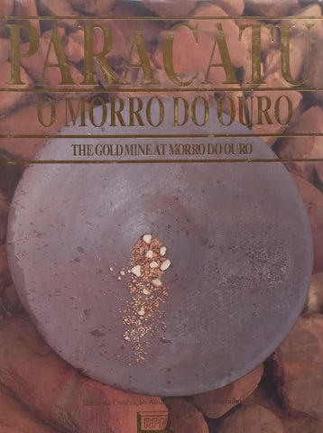 The Gold Mine at Morro Do Ouro (English/Portuguese Dual Language Text) | Maria da Conceicao, et al.