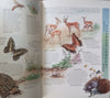 Kruger National Park Bushveld Seasons