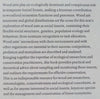 Wood Ant Ecology and Conservation | Jenni A. Stockan &amp; Elva J. H. Robinson (Eds.)