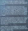 Gaddafi’s Harem: The Story of a Young Woman and the Abuses of Power in Libya | Annick Cojean