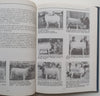 Geskiedenis van die Dorper (Afrikaans) | J. A. Nel