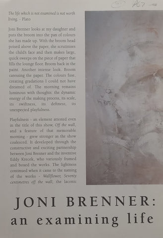 Joni Brenner: An Examining Life (Information Sheet to Accompany the Exhibition)