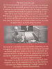 Daar’s ‘n Gay Pastoor in my Kop (Inscribed by Author, Afrikaans) | Philip Liebenberg