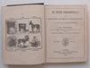 Le Petit Preceptuer, or First Steps to French Conversation (Published 1872) | F. Grandineau