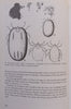 Handbook on Stock Diseases (4th Revised Ed.) | H. O. Monnig &amp; F. J. Veldman