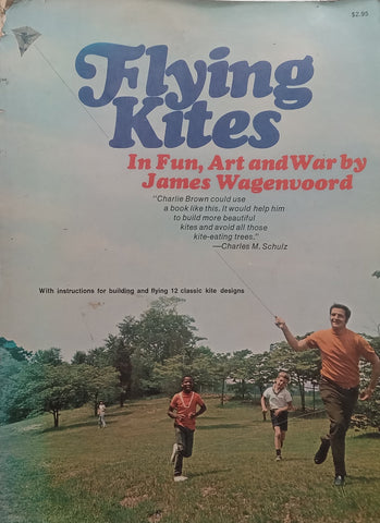 Flying Kites: In Fun, Art and War | James Wagenvoord