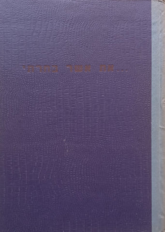 The One I Chose (Hebrew) | Yohanan Tversky