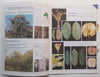 SA Combretum &amp; Terminalia: Identification Guide (Afrikaans/English Dual-Language Ed.) | Marthinus Steyn