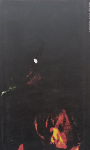 Marcus Neustetter: In Two Minds (Artist’s Book to Accompany the Exhibition)