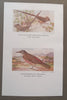 Nature Notes (Nos. 33 to 42) | S. H. Skaife