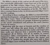 Edgar Cayce’s Story of the Old Testament | Robert W. Krajenke