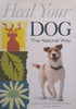 Heal Your Dog The Natural Way | Richard Allport