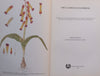 The Lachenalia Handbook | Graham Duncan