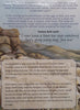 The Lost Sheep (With Bookmark) | Yvonne Leatt