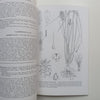 Flora Zambesiaca (Vol. 12, Part 3) | G. V. Pope (Ed.)