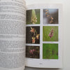 Flora Zambesiaca (Vol. 11, Part 1) | G. V. Pope (Ed.)