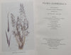 Flora Zambesiaca (Vol. 10, Part 1) | A. Fernandes, et al. (Eds.)