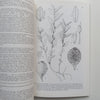 Flora Zambesiaca (Vol. 9, Part 6) | E. Laurent &amp; G. V. Pope (Eds.)