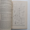 Flora Zambesiaca (Vol. 7, Part 2) | E. Launert (Ed.)