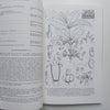 Flora Zambesiaca (Vol. 5, Part 2) | G. V. Pope (Ed.)